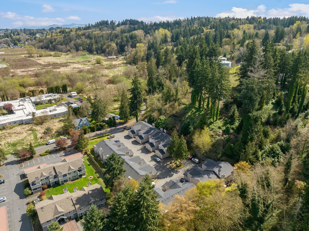 A bird's eye view of a residential area surrounded by trees.
