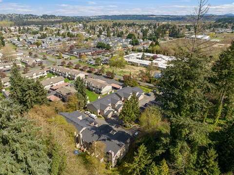 A bird's eye view of a residential area with houses surrounded by trees.