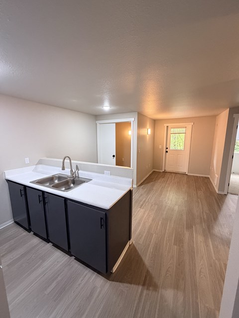 A kitchen with a sink and cabinets.