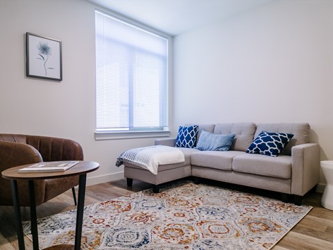 A living room with a brown chair, a grey couch, and a patterned rug.