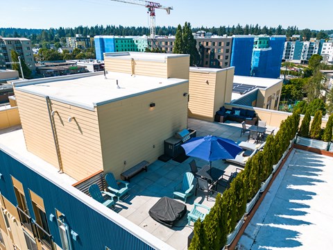 Aerial view of Bode125's rooftop lounge with umbrellas, seating, BBQ's, and foliage