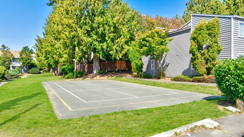 A tennis court surrounded by green grass and trees.