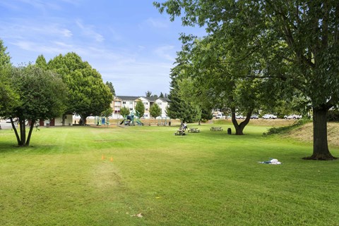 A park with a grassy field, trees, and picnic tables.