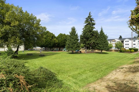 A large grassy field with trees and a building in the background.