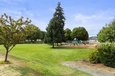 A park with a playground and trees.
