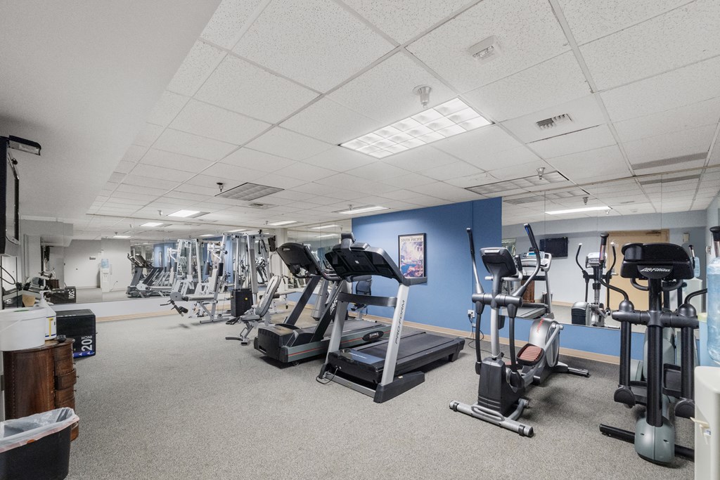 a gym with various cardio machines and weights in a large room