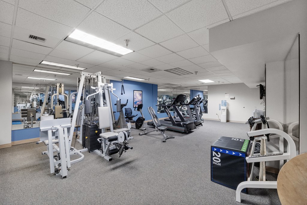 a gym with weights and other exercise equipment in a building