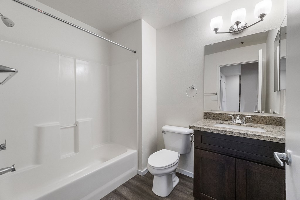 a bathroom with a shower toilet and sink and a mirror