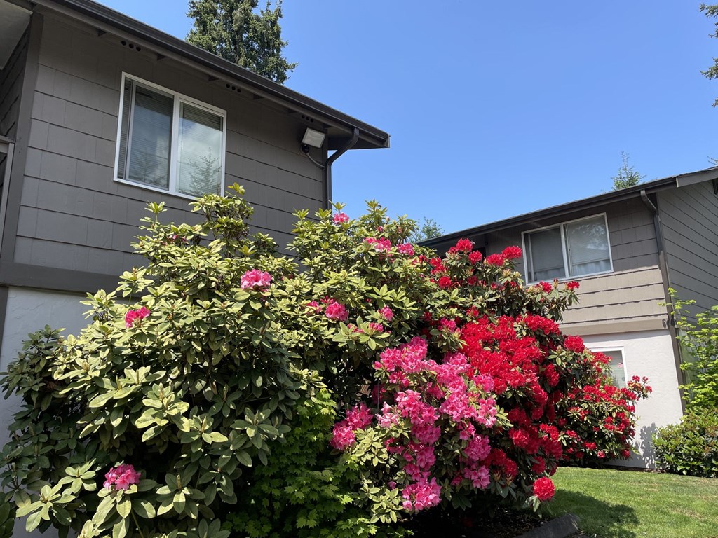 Hidden Firs Apartments