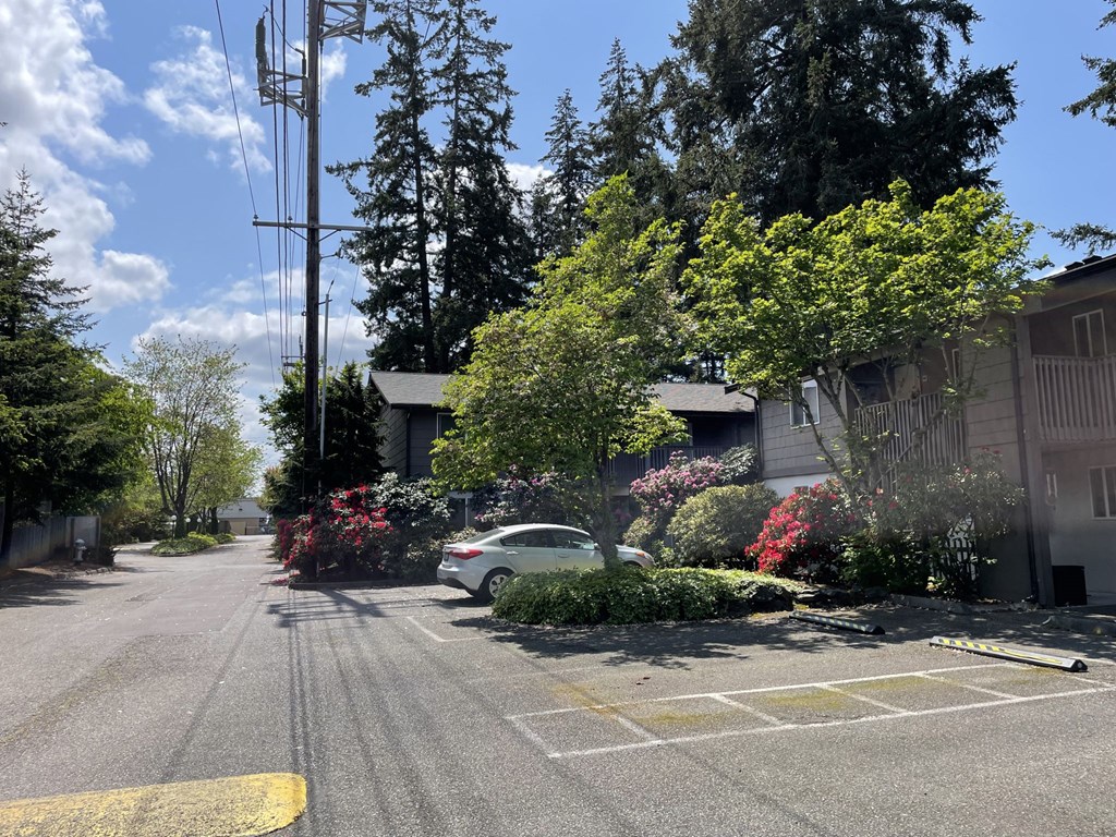 Hidden Firs Apartments