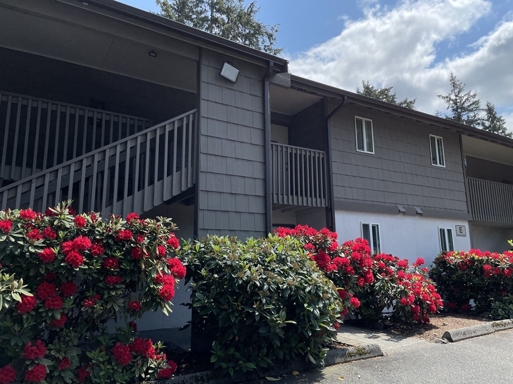 Hidden Firs Apartments