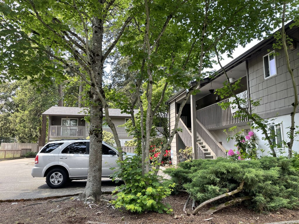 Hidden Firs Apartments