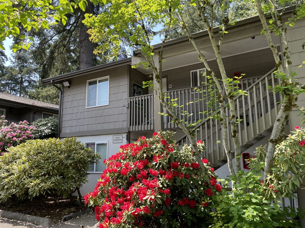 Hidden Firs Apartments