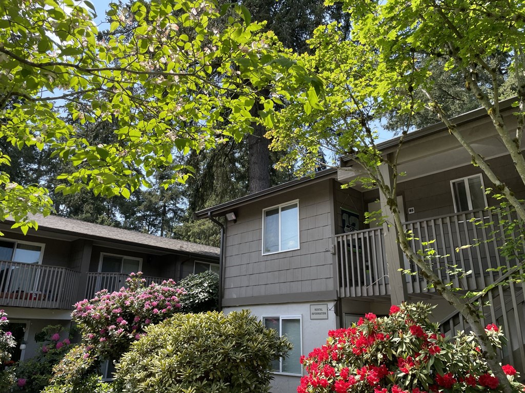 Hidden Firs Apartments