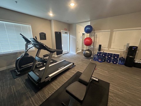 A gym room with a treadmill, exercise balls, and weights.