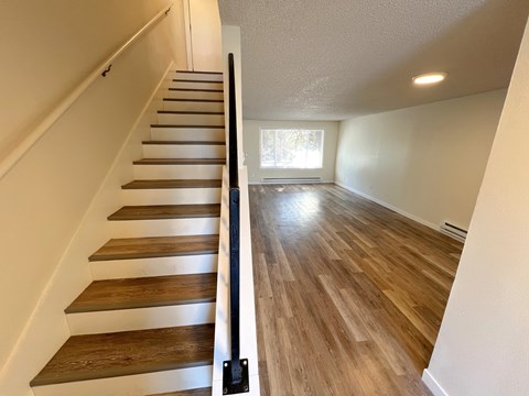 Luxury vinyl flooring throughout