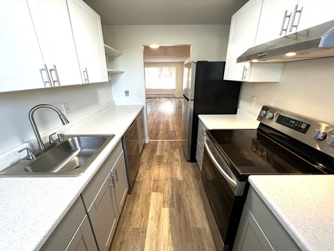 Refrigerator, oven, stove, dishwasher