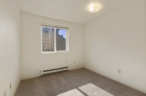 A room with a window and a carpeted floor.
