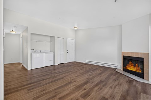 A modern living room with a fireplace and a washing machine.