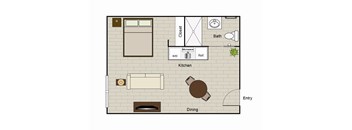 Accessible/Open floor plan Studio apartment