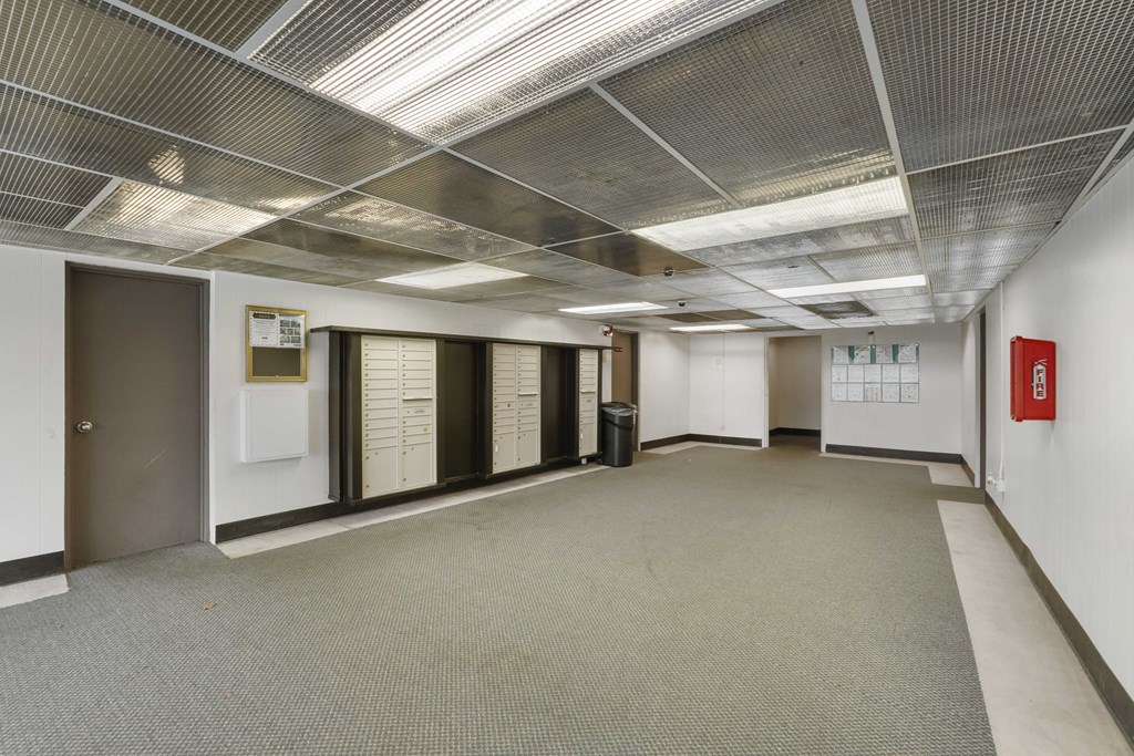 a large room with white walls and doors and a carpeted floor