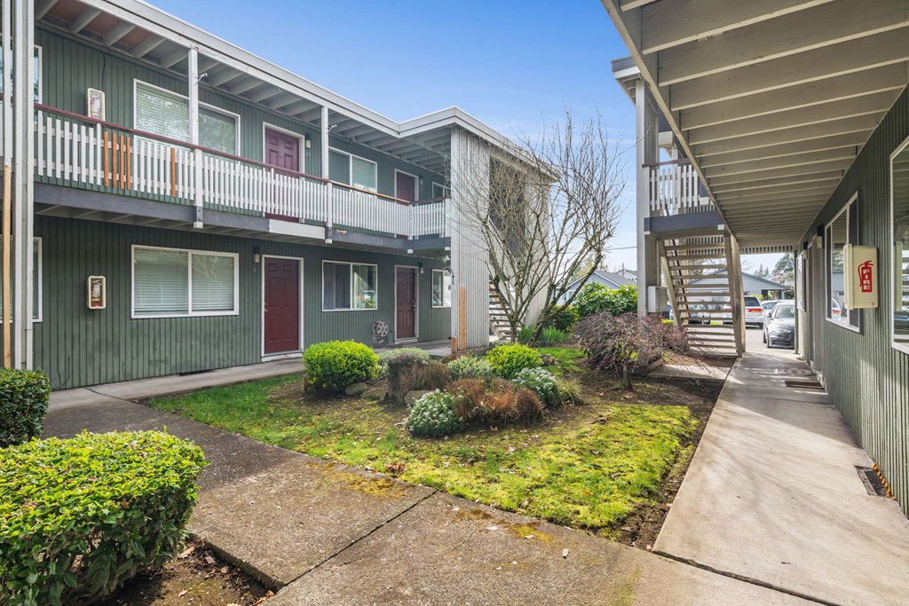 A view of a courtyard with a small tree and bushes in the center.