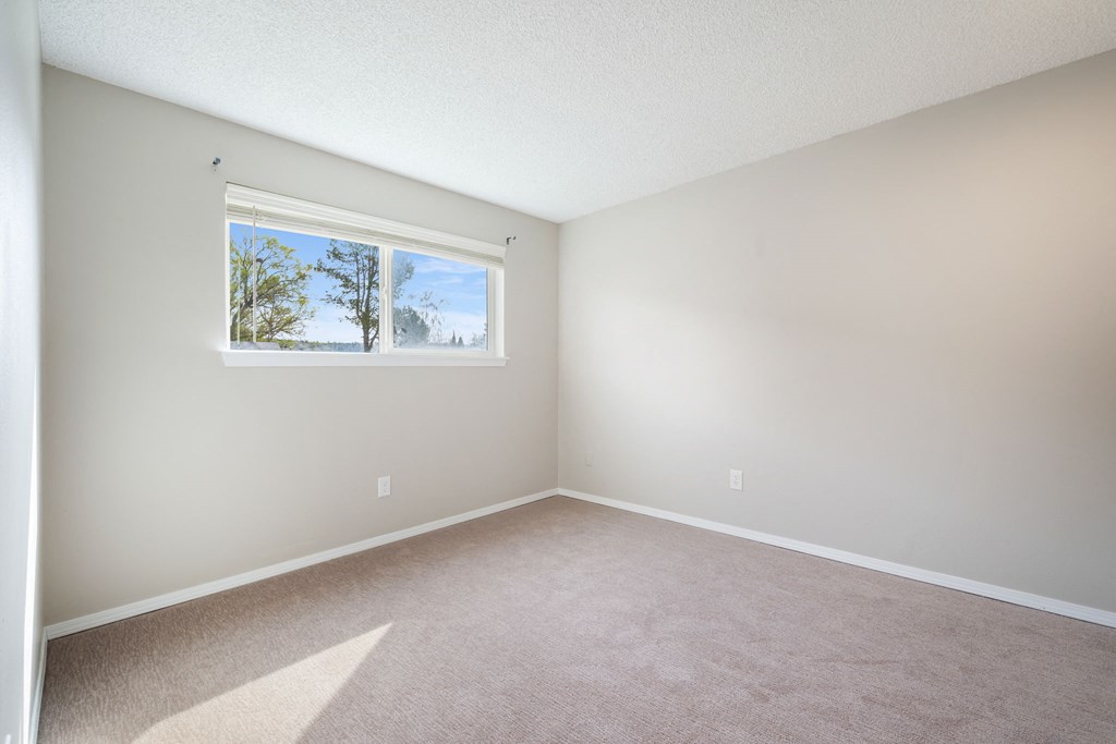 Empty room with a window showing trees outside.