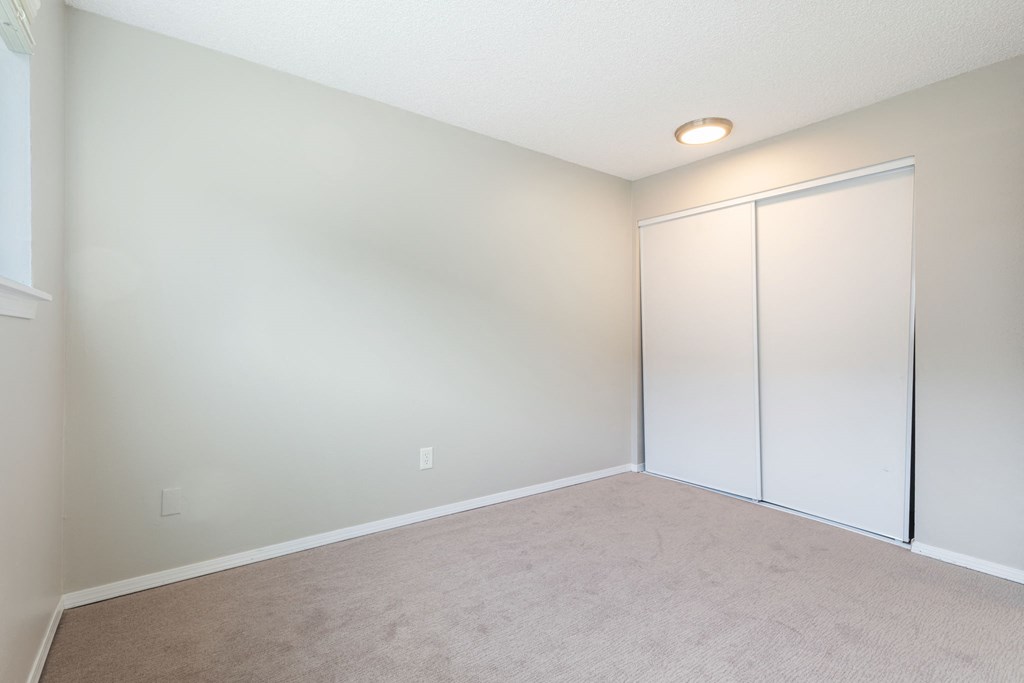 A room with a white wall and a carpeted floor.