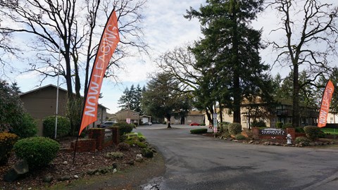 A road with orange flags on both sides and a sign that says Springview on it.