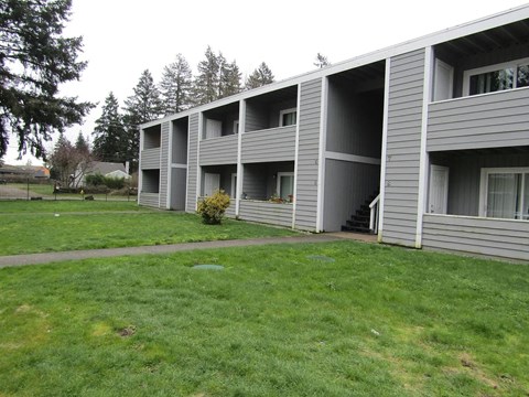 A grassy area in front of a building with a tree to the left.