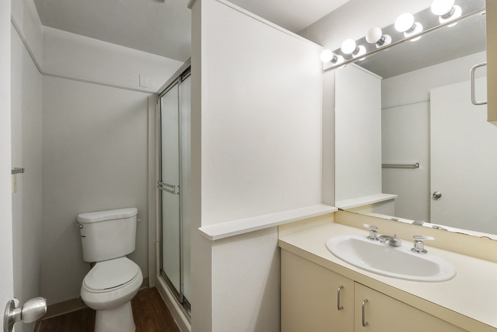 a bathroom with a sink toilet and a shower