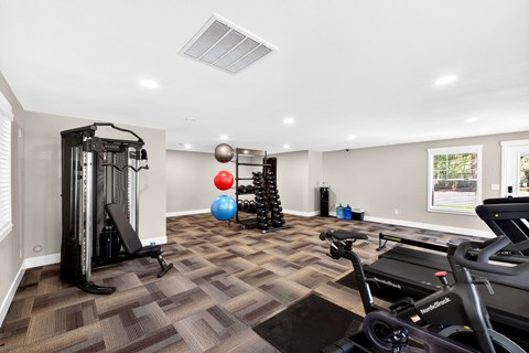 A well-equipped home gym with a treadmill, exercise ball, and weight rack.
