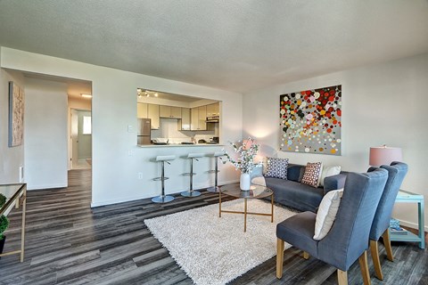 A living room with a grey couch and a white rug.