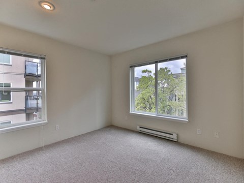a bedroom with two windows and a carpeted floor