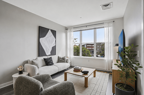 A living room with a grey couch, a grey chair, a coffee table, a potted plant, and a painting on the wall.