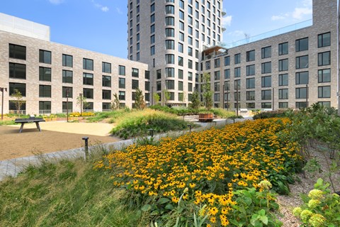 a park with yellow flowers in front of a tall building