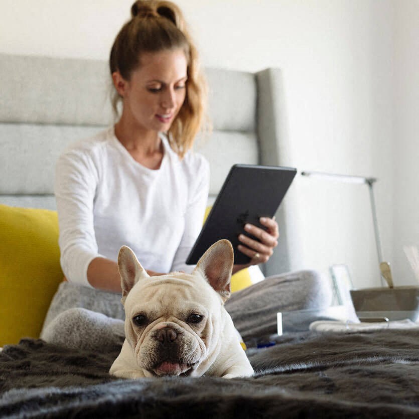 Pet friendly at Altaire, Arlington