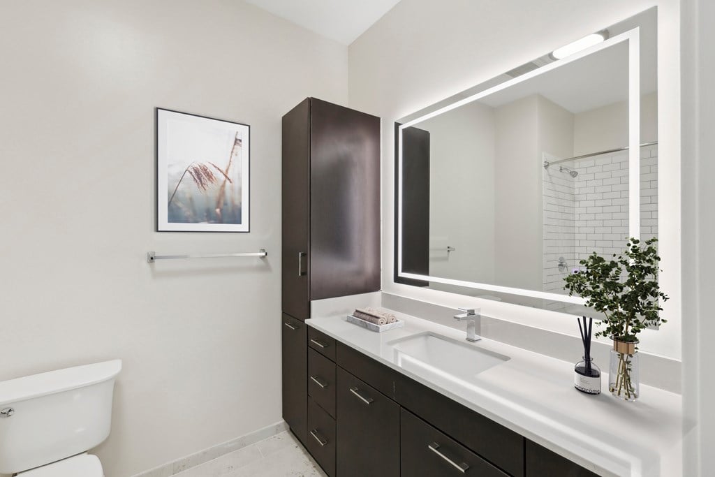A bathroom with a white sink and a brown cabinet.