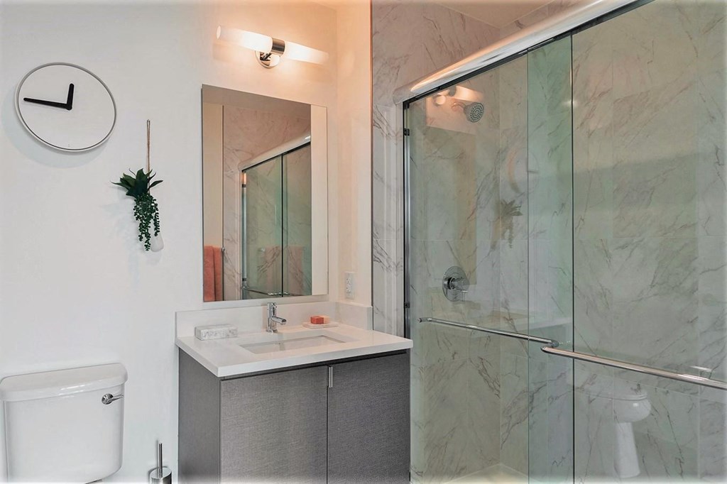 a bathroom with a sink and a shower and a mirror