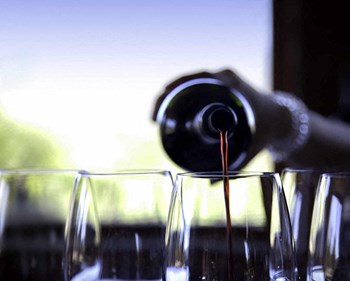 Wine Glasses at Morse, Washington - Photo Gallery 37
