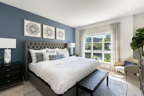 The Birch 51 Washington - 1 Bedroom Apartment