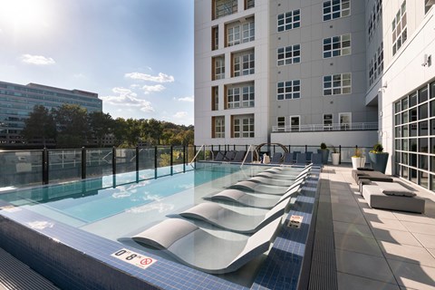 The Birch 51 Washington - Swimming Pool