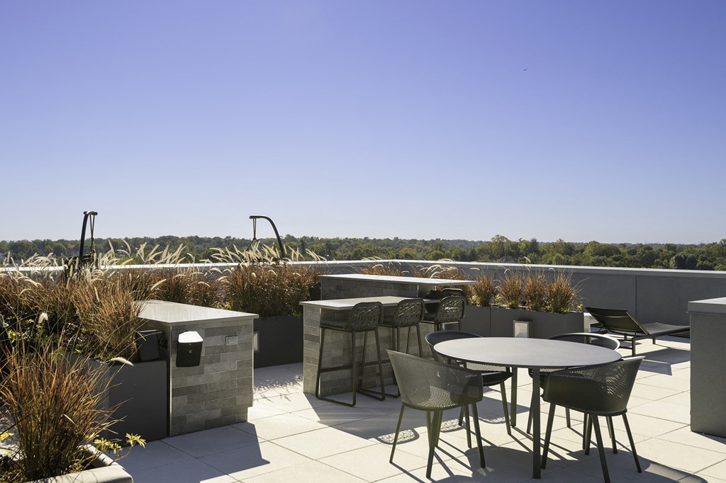 community roof  terrace with grills and incredible views at Continuum, New York, 10606