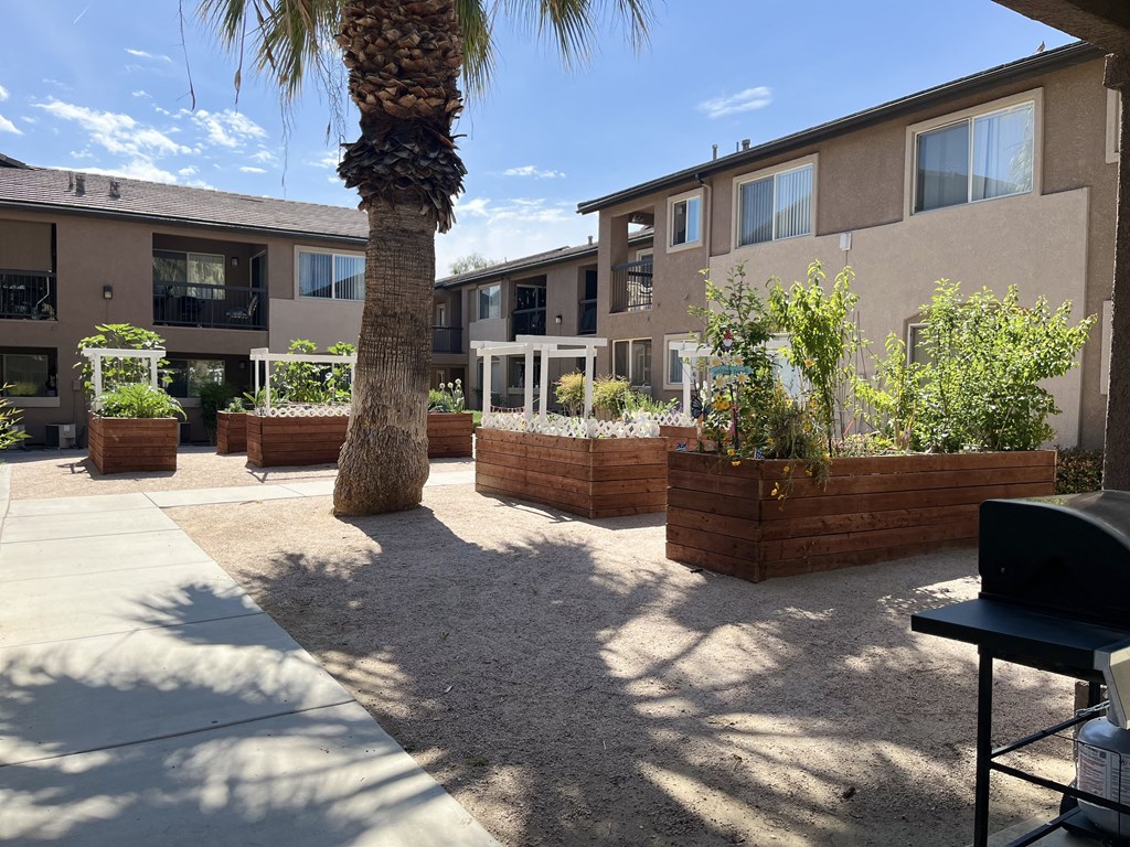 a patio with a palm tree in front of an apartment building