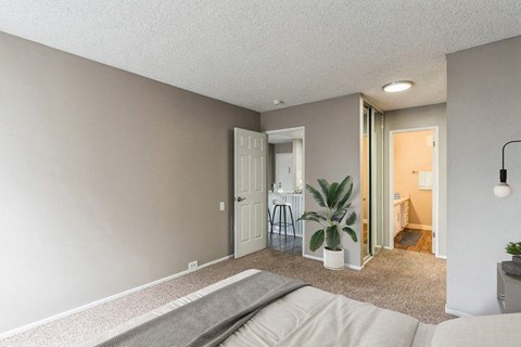 A living room with a grey sofa and a grey rug.