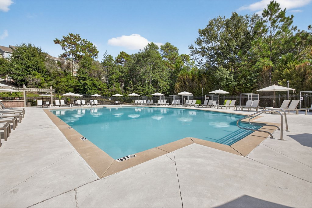 A large outdoor swimming pool surrounded by trees and lounge chairs.