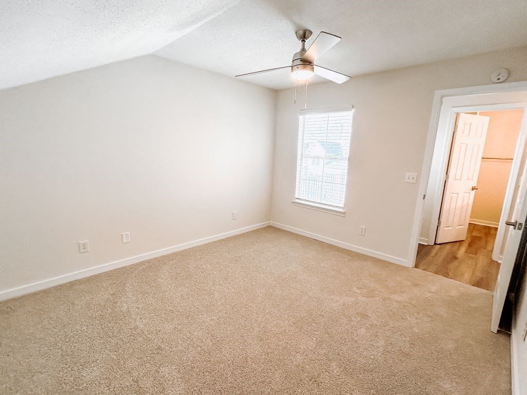 Renovated One-Bedroom With New Carpeting