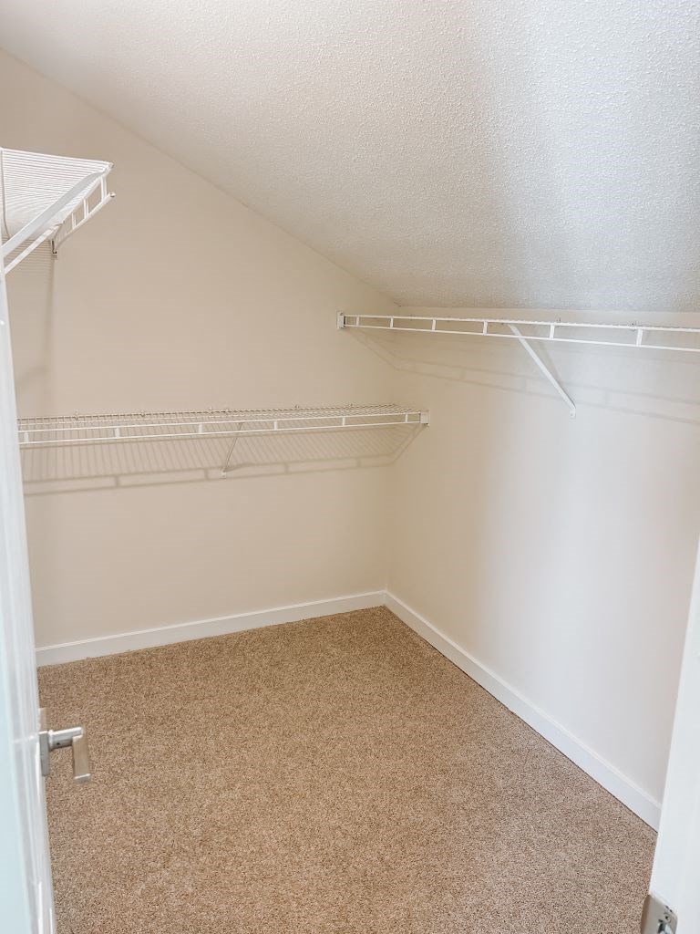 Renovated One-Bedroom Walk-In-Closet