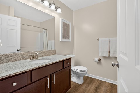 A bathroom with a toilet, sink, and mirror.