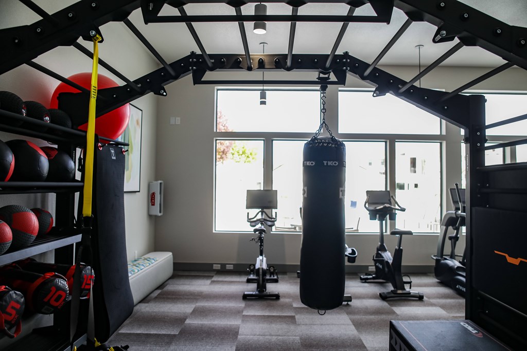 A gym with a punching bag, weights, and exercise equipment. at The Azul Apartment Homes, Oxford, MS
